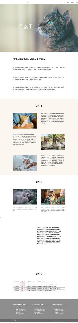 ネット販売には欠かせない!!LP安く制作します Webマーケティングしてみたいけどよく分からないという方へ!