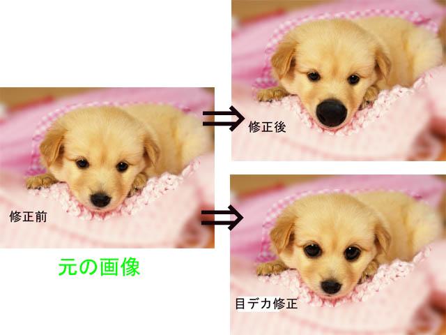 可愛いペットの”うっとりデカ鼻”画像作ります。