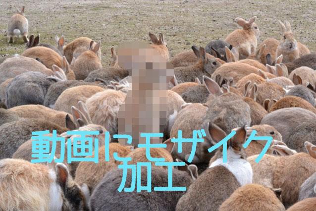 動画にモザイクかけます☆プライバシーを守る!