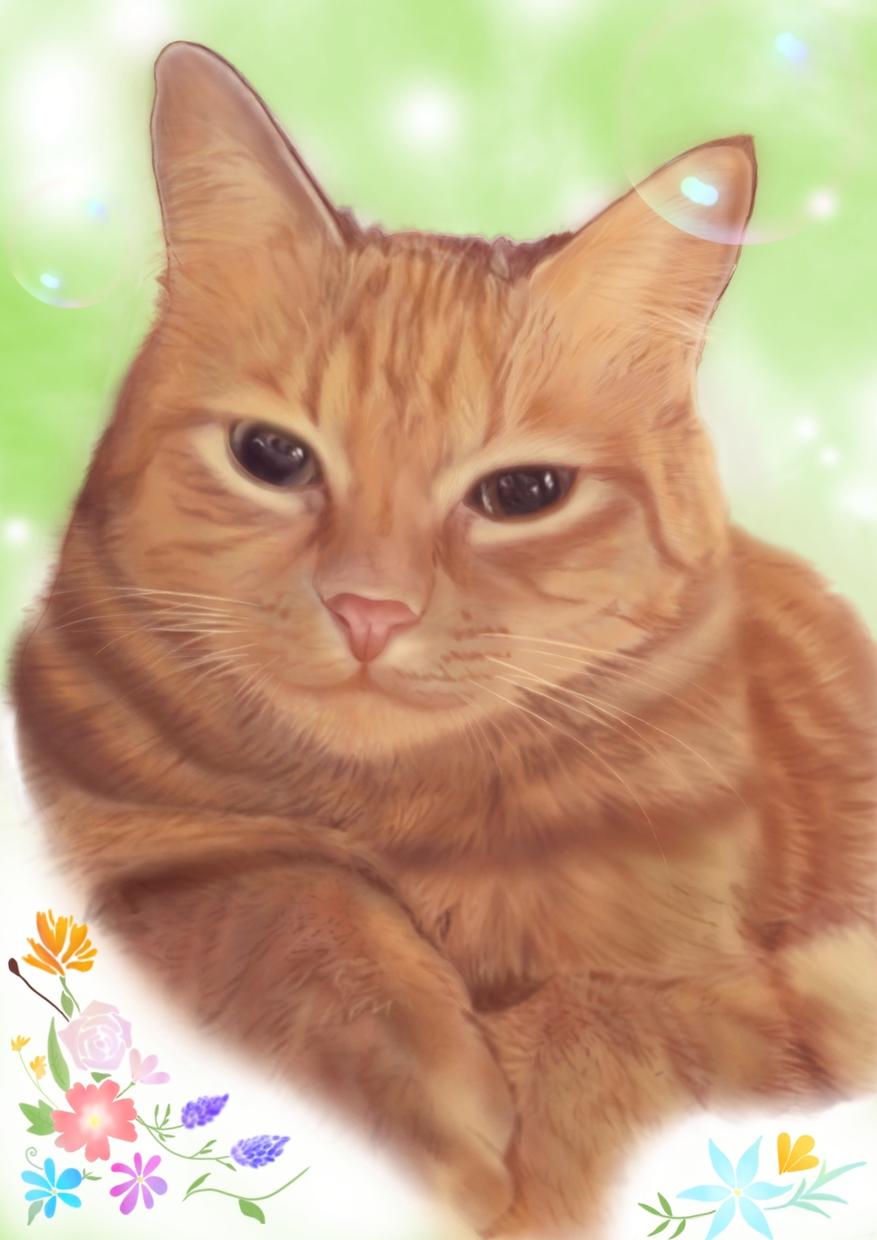 ペットの似顔絵をデジタルイラストで描きます 暖かな似顔絵をデジタルイラストで描きます。