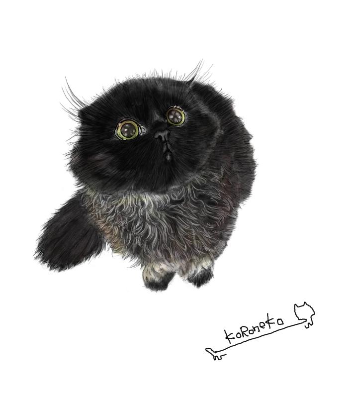 黒猫さんのイラスト描きます リアル画像でシンプルにかっこよく ペットイラスト作成 ココナラ