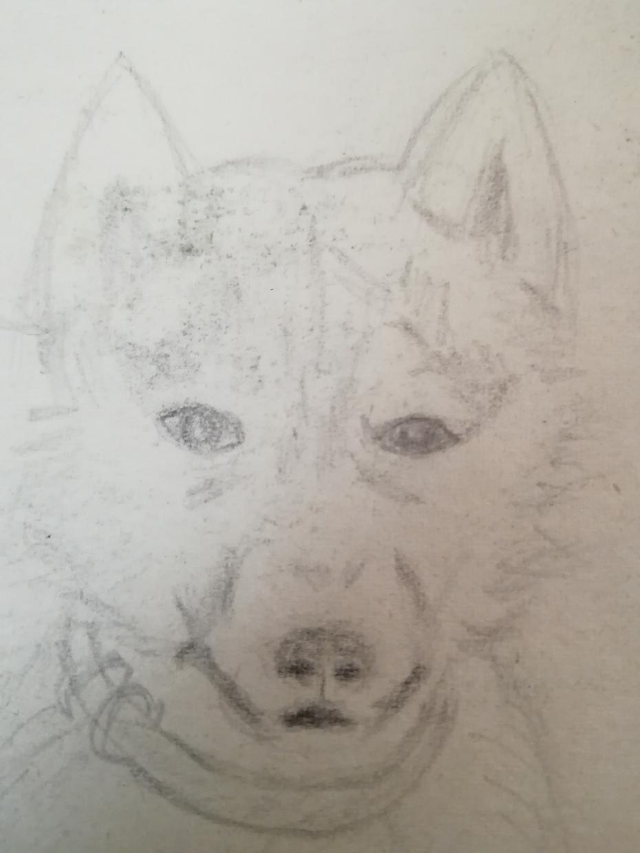 あなたのベストショットを水彩似顔絵に描きます 人生で一番生き生きとした自分を肖像画として残しておきませんか