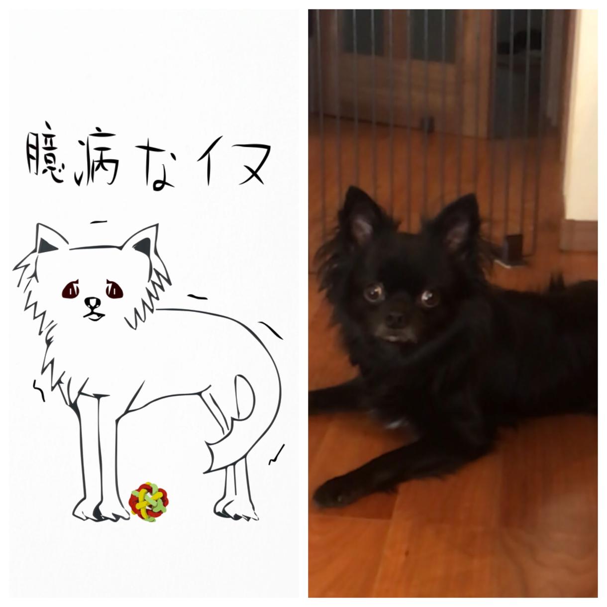 ペットや人物の特徴を捉えたゆるいイラスト描きます ペット、人物等の特徴を捉えた手書き風イラストを作成します。