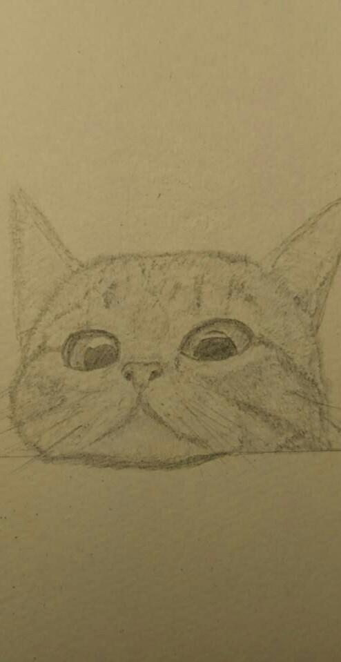 動物の絵を描きます 我が家のペットを作品として残したい方へ