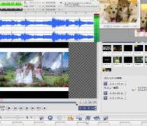 画像・動画・音源 編集承ります 画像・動画・音源 編集承ります。