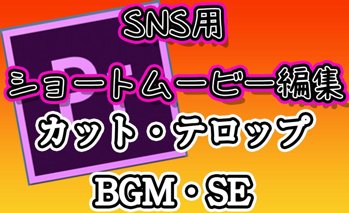 SNS向けショートムービー編集します 2分前後までのショートムービー即編集します