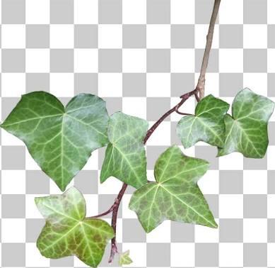 画像をPhotoshopで切り抜きます 画像からこの部分だけ切り抜きたいけどメンドくさい。という方!