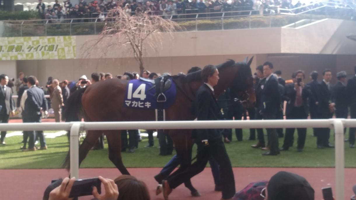 競馬必勝法教えます 勝てない方、絞れないかた、選べない方に