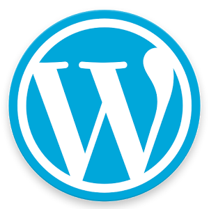 Wordpressで、あなただけのサイトを作ります 作品を載せるサイトを作りたい、ブログをしたい。お任せ下さい。