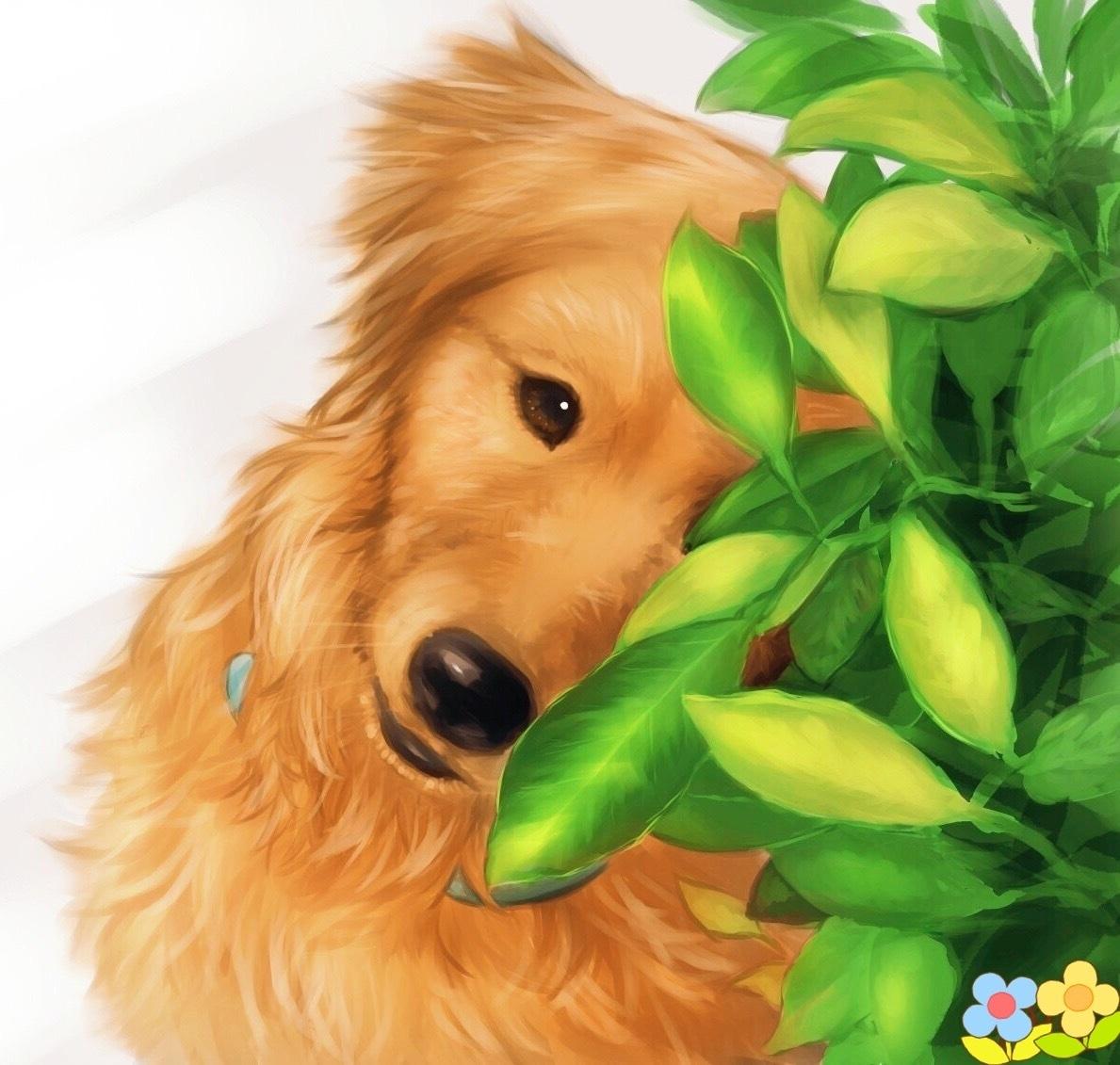 本物そっくり★動物似顔絵を制作致します ワンちゃん・ネコちゃん等、大切な家族の一員の似顔絵を制作!