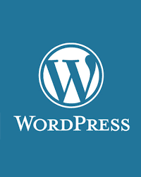 Wordpress でブログ書きたい方教えます ワードプレスのブログで儲けたいけど、設定やSEOに困る方へ