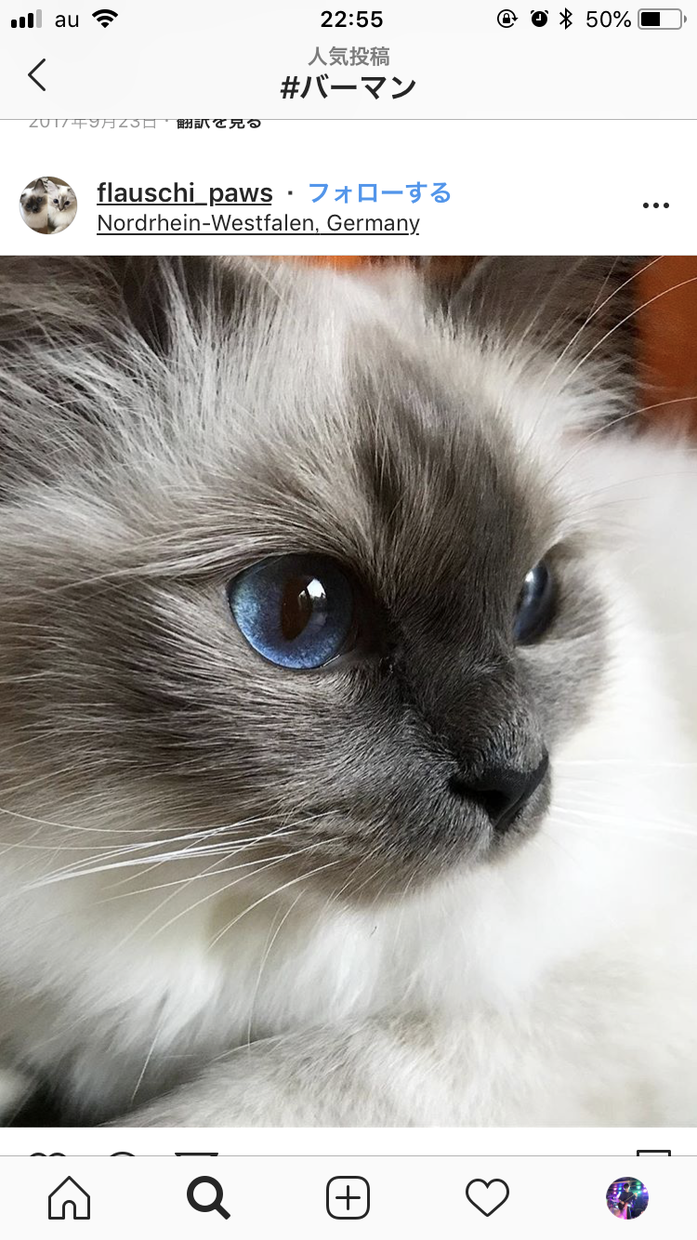 ペットの飼育方法のご相談やお悩みを解決します 動物を適切に飼育し、より生活を豊かにしましょう。