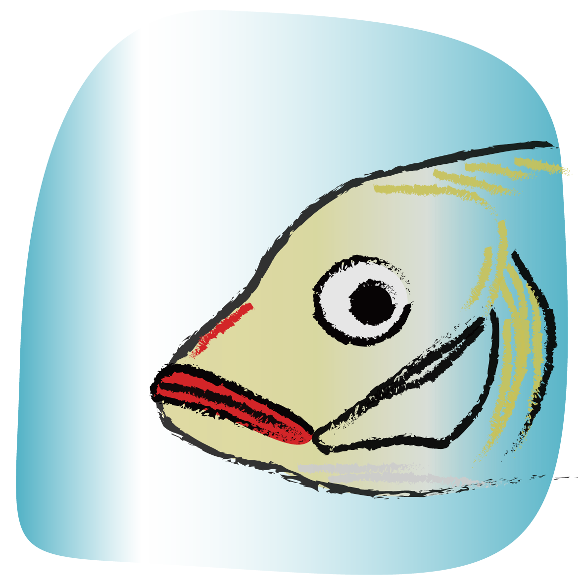 シュールな魚のイラスト作成します 魚好きにはたまらない お魚屋さんや釣り道具やさんにもピッタリ イラスト作成 ココナラ