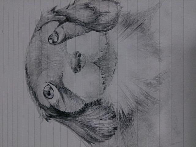写真をもとに似顔絵描きます
