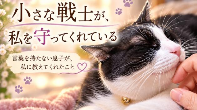 カバー画像