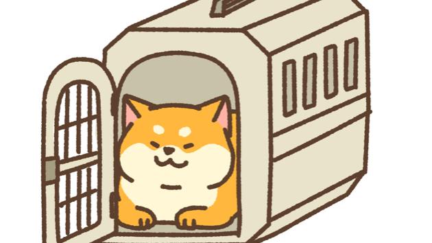 カバー画像