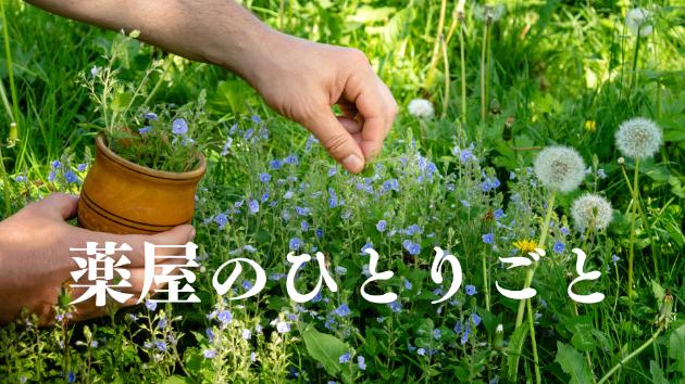 カバー画像