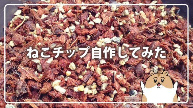 カバー画像