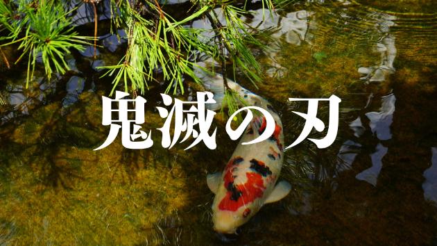 カバー画像