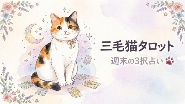 カバー画像