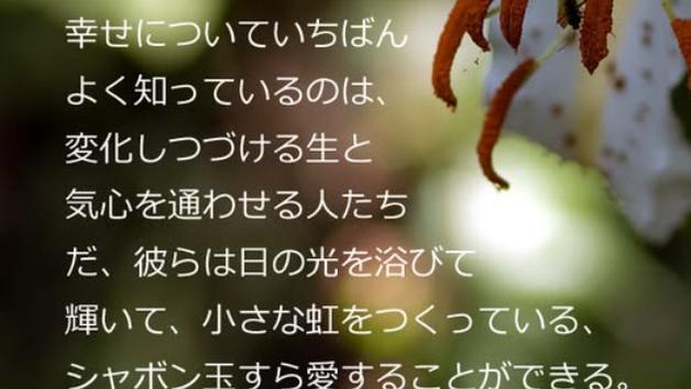 カバー画像