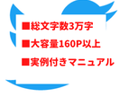 Twitter集客から販売までの仕組み教えます もし実践して結果が出なかったら「クレーム下さい」 イメージ2