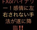 今年初の新作！！勝ち続ける為の教材となります 相場の地図～第二章～水平線の極み イメージ2