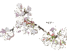貴方の好きを絵にします 貴方の好きな動植物を、名刺、アイコンなどにしてみませんか？ イメージ1
