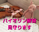 お子さんの日々のバイオリン練習を見守ります 日々の練習が上手くできない、練習の方法がわからないあなたへ イメージ1