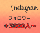 Instagramフォロワー3000人～増やします 30日間保証付き！10000人まで対応可能 イメージ1