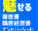 魅せる履歴書・職務経歴書・ESを添削します 自分らしさを表現して勝負したいあなたに向けて イメージ1