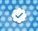 Twitterの公式マーク取得のお手伝いします 専門家が公式マーク取得の「コツ」を丁寧にコンサルします！ イメージ2