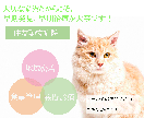 オシャレなバナー広告つくります イマドキ女子だから作れるデザイン！！ イメージ4