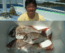 釣りに関してあらゆるノウハウやテクニックを教えます 釣り初心者向けにあらゆるノウハウやテクニックを教えます。 イメージ1