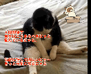 文句を言わずに働いているあなたの愚痴を聴きます 本当はいろいろぶちまけたいけど、周りに言えないですよね。 イメージ2