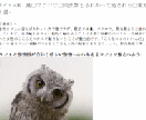 2000文字のウェブライター記事執筆いたします web文章ならおまかせください！ イメージ1