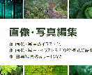 画像や写真の編集を承ります 写真をイラストに！画像をもとに塗り絵作成！白黒写真をカラーに イメージ1
