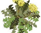 貴方の好きを絵にします 貴方の好きな動植物を、名刺、アイコンなどにしてみませんか？ イメージ2
