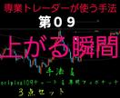 FXで勝ちたい！私の手法、勝ち組になる方法教えます 勝ち組になる答えここに！第０９手法 イメージ1