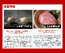 楽天 RPP広告運用代行 運営歴15年店長がします ≪元ショップオブザイヤー受賞＆運営歴15年の実績重視店長≫ イメージ8