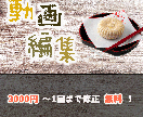 Vlogの編集承ります 【3000円〜】修正1回無料！ イメージ1