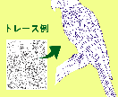 お手持ちの画像をAiデータ化いたします ロゴやイラストをトレースし、Aiデータをお作りいたします イメージ4