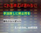 初心者でもわかる！？バイナリーオプションを教えます 初心者でも安心して覚えられる手法！　PDF解説付き イメージ2