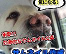 え？面白そう！そんなYouTubeのサムネ作ります 気になる！見てみよう！クリックしたくなるために重要なサムネ イメージ1