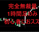 ローソク足トレードの最高傑作！FX手法教えます 裁量トレードが苦手な方・FX初心者の方におススメの手法です イメージ1