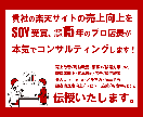 楽天EC【売上改善】元SOY店長がコンサルします 集客/楽天SEO/楽天コンサル/ECサイト/売上改善/RPP イメージ2