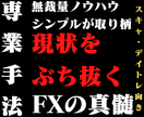 専業FXトレーダーのシンプル無裁量手法を継承します 手法探しの最終電車です。お乗り遅れのないようにご注意を。 イメージ8