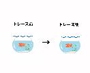 イラストレーターで画像からAiデータ作成します 丁寧、即レス、Aiトレース承ります。 イメージ2