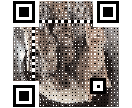 イラスト・写真入りQRコードを作成します 思わず目を引くようなQRコードが欲しいと思ったら！ イメージ3
