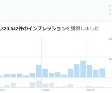 ツイッター100万インプレッションの方法を教えます フォロワー数300以下のアカウントでも出来る 集客 Snsマーケティング ココナラ